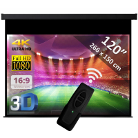 Electric screen 120" - 305 cm (16:9)