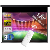 Electric screen 120" - 305 cm (16:9)