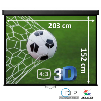 Manual screen 100" - 254 cm (4:3)