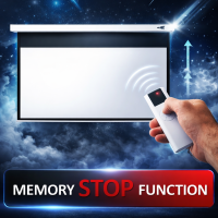 Electric screen 100" - 254cm (4:3)