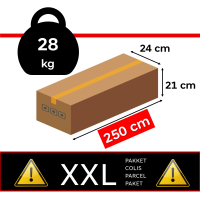 Elektrisch vloerscherm 100" - 254 cm